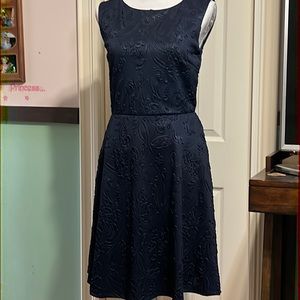 Nwt navy dress